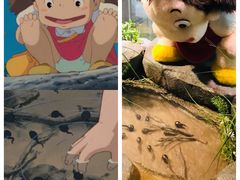 -伊豆泰迪熊博物馆