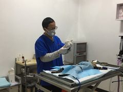-灵美宠物诊所
