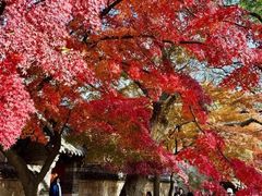 -青岛崂山太清宫