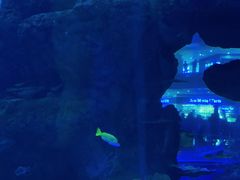 -成都浩海立方海洋公园