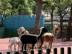 -无锡动物园·太湖欢乐园