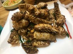 -东海章鱼馆(恒瑞街店)