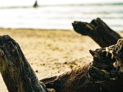 -巽寮印象美食部落餐厅·海鲜·地方特色菜(惠州体验店)