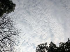 -苏州河梦清园环保主题公园