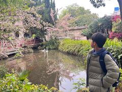 -房湖公园