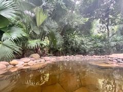 -融汇温泉
