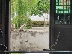 -张家港凤凰山景区恬庄古街