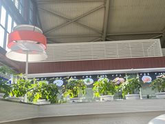 -丽江三义国际机场
