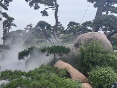 -罗红摄影艺术馆