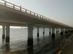 -演武大桥观景平台