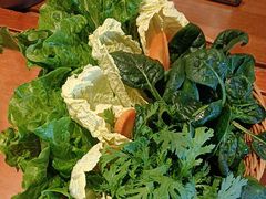 -老员外骨汤火锅(海州古城店)