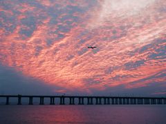 -宝安西湾红树林湿地公园