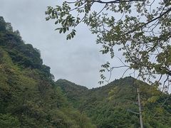 -抱龙峪