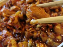 -志晖园圆子鸡·辣子鸡(阳光店)