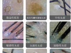 -中国农业大学(西校区)