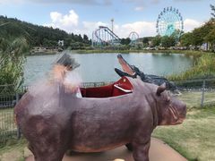 -南京银杏湖乐园