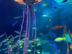 -沈阳海洋探索中心