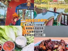 -西双版纳原始森林公园