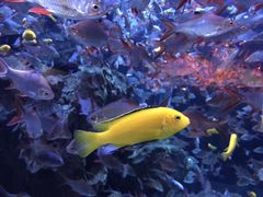 -成都浩海立方海洋公园