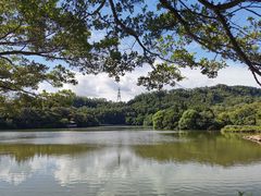 -深圳仙湖植物园