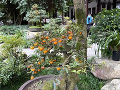 -成都杜甫草堂博物馆