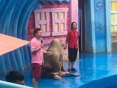 -华夏文旅海洋公园