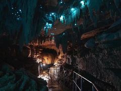 -怀托摩萤火虫洞