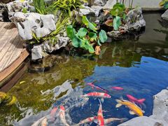 -道南書院·私房菜·早午茶·茶馆