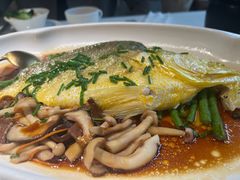 -南棠馆粤菜坊(群光店)