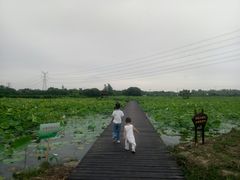 -梁鸿国家湿地公园
