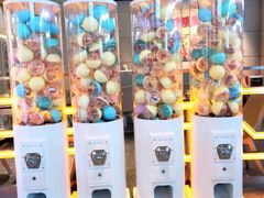 -元气寿司(东方宝泰店)