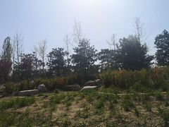 -东郊湿地公园
