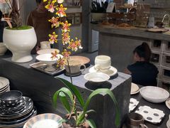 -自由生长植物工作室(深港花卉中心店)