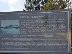 -白草畔自然风景区