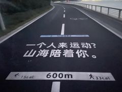 -杨梅坑