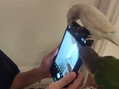 -自由生长植物工作室(深港花卉中心店)