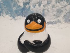 -长沙湘江冰雪世界