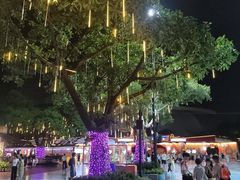 -广州长隆国际大马戏