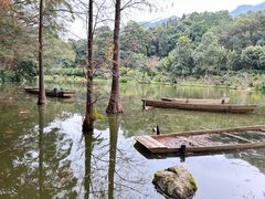 -深圳仙湖植物园