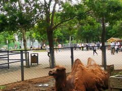 -长白岛森林公园