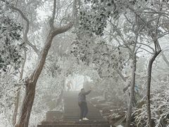 -紫金山山顶公园