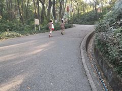 -广州市帽峰山景区