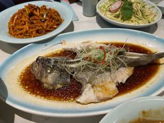 -新侨小馆(东直门北小街店)