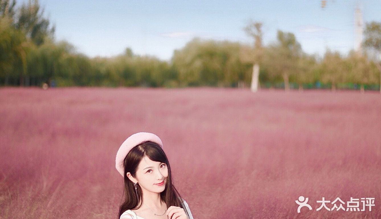 济南最大免费粉黛子