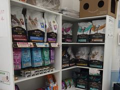 -纳吉亚猫专科动物医院·北北分院