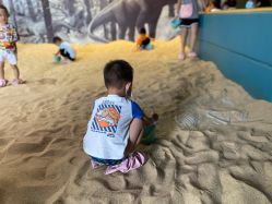 -恐龙探索乐园(磁器口店)