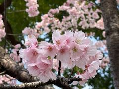 -静安雕塑公园