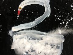 -缤纷鸟美术书法(汉神购物广场校区)