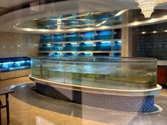 -老淳安—伴山伴湖(千岛湖开元度假村店)