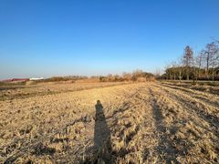 -广富林郊野公园